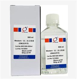Western一抗二抗去除液（弱堿，溫和型）